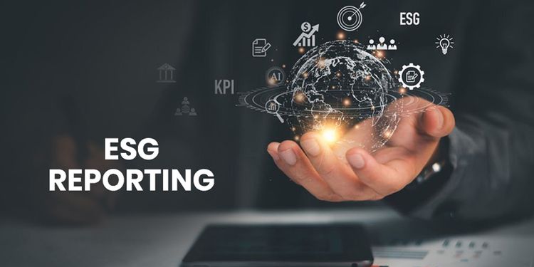 Guide to ESG Frameworks and Reporting