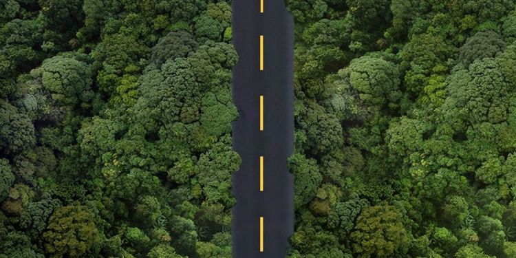 Developing an Effective ESG Strategy