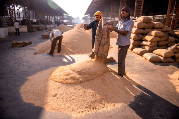 Strategic Decisions in India's Feed Industry