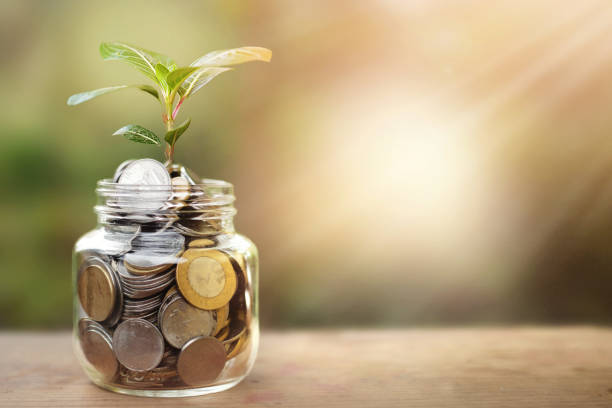 Decoding India’s Mutual Fund Evolution