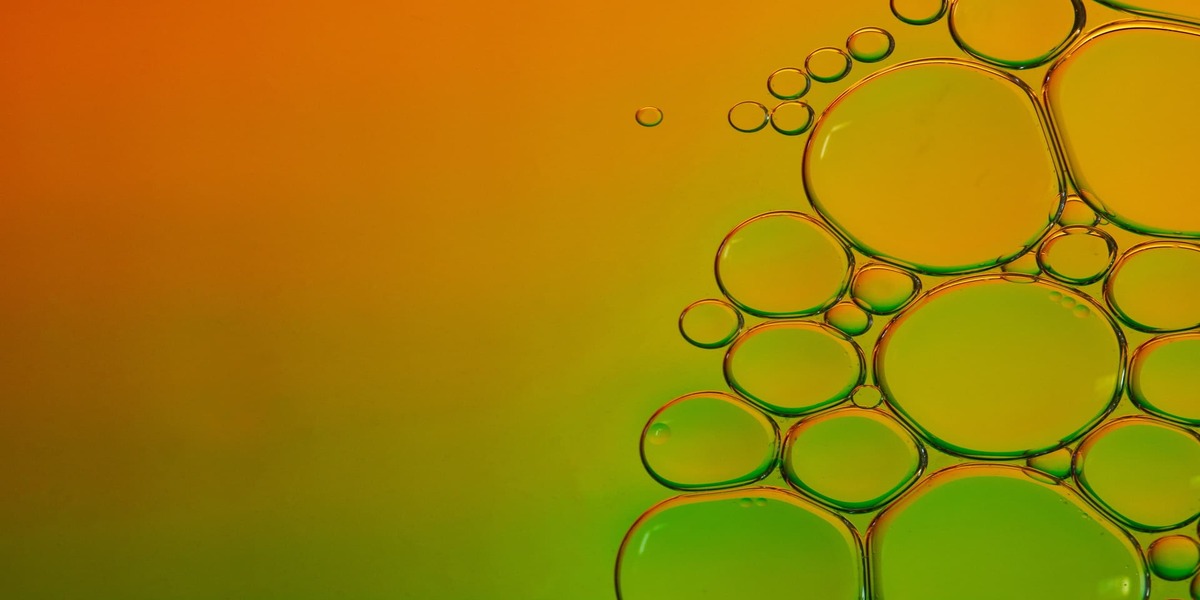 Phospholipids Or Enhanced Bioavailability