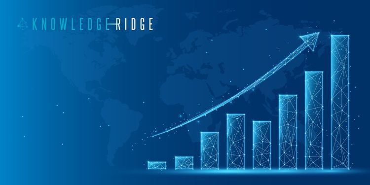 Driving Success with Expert Consultations