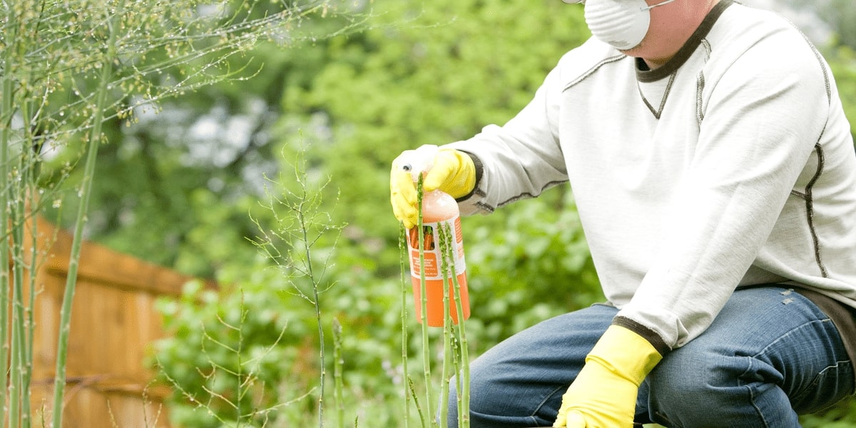 Fertilizers – An Essential Ingredient for the Future