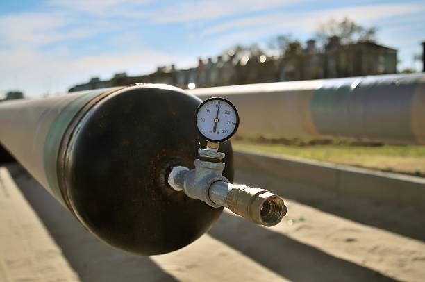 Key Insights: City Gas Distribution
