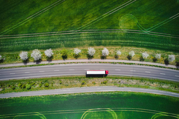 Green Innovation in India’s Auto Sector