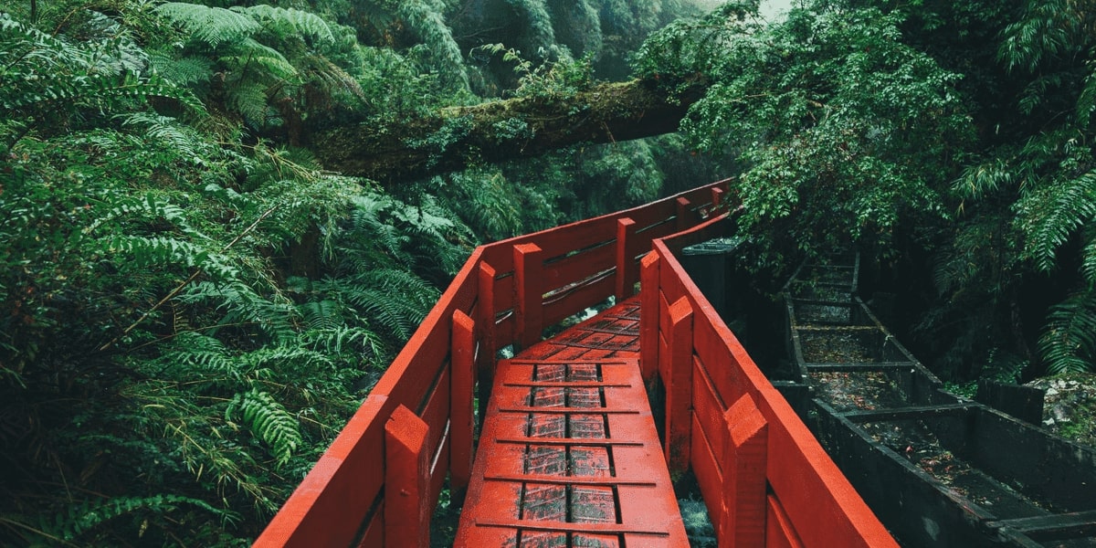 Chile's Forestry Ports -A Story Of Success