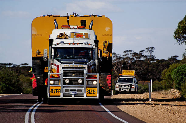 The Global Pulse Of Lead Exports