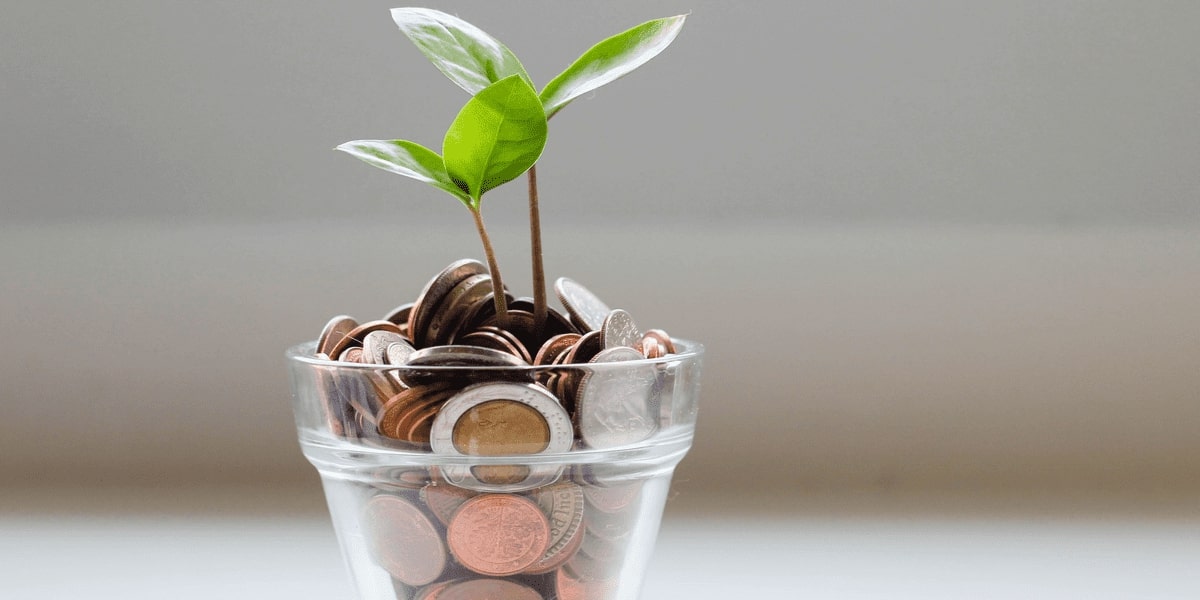 Why Culture Matters in Finance