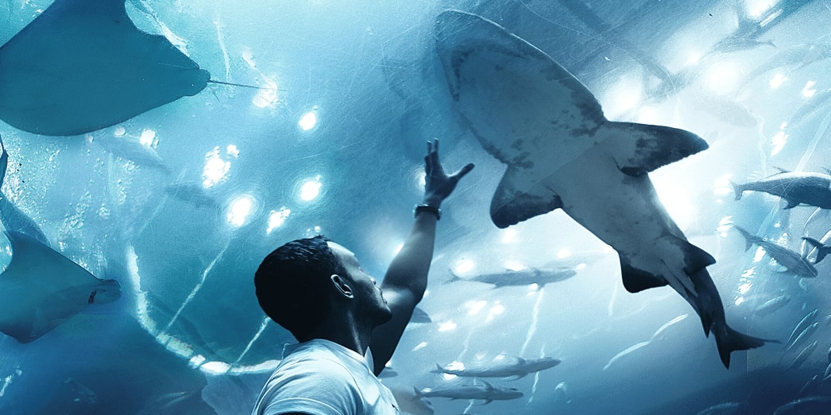 Optical Design Using Ray Tracing Simulations