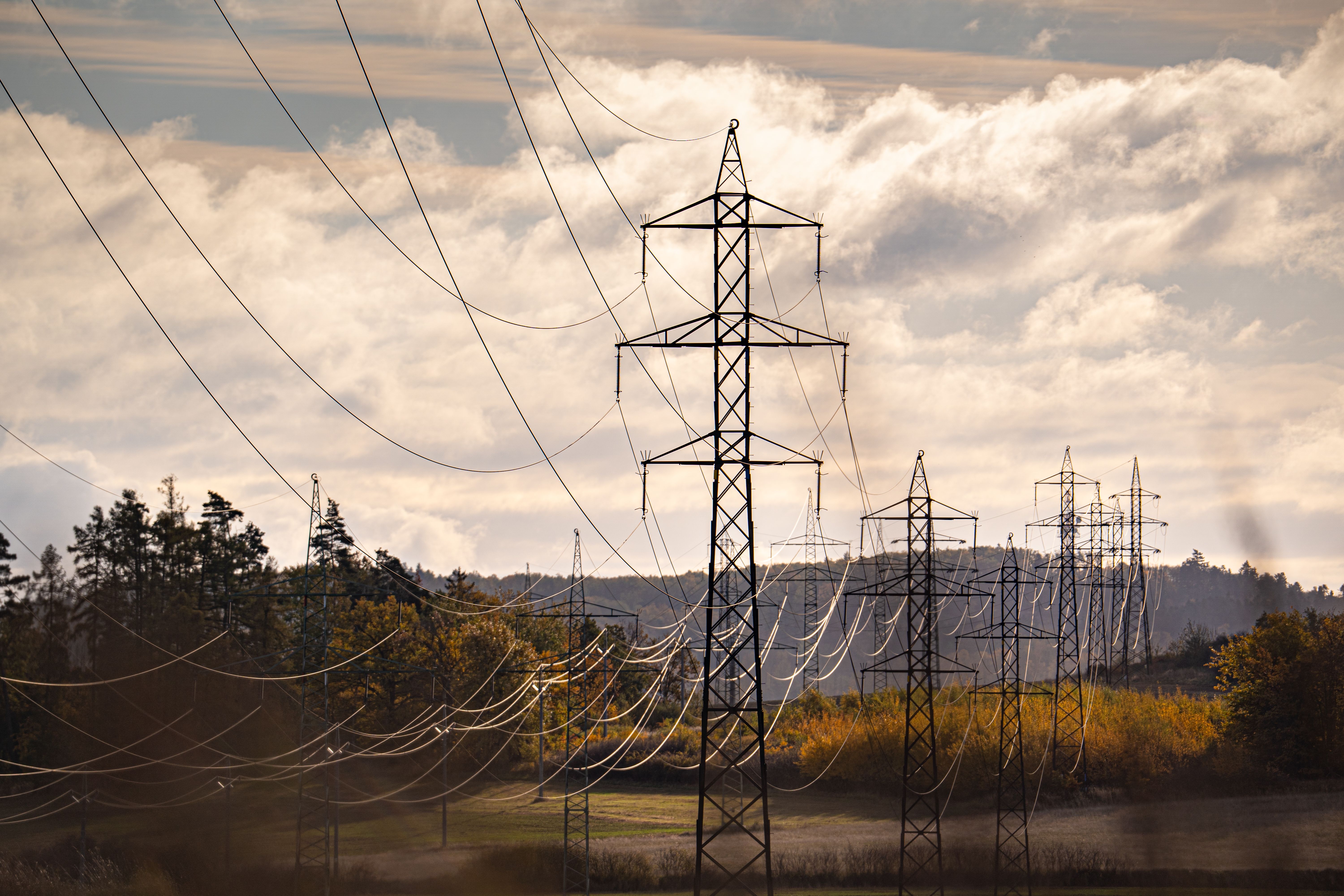 Net-Zero Reshaping Grid Investment