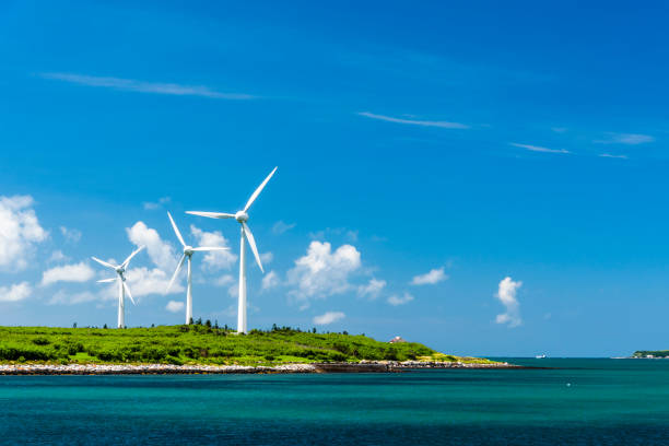 Decoding Renewable Energy Growth