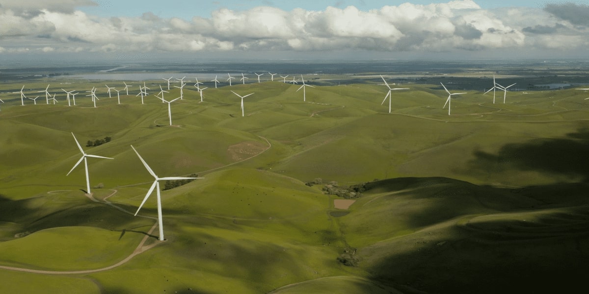 Green & Clean Technologies For Novel Nutraceuticals